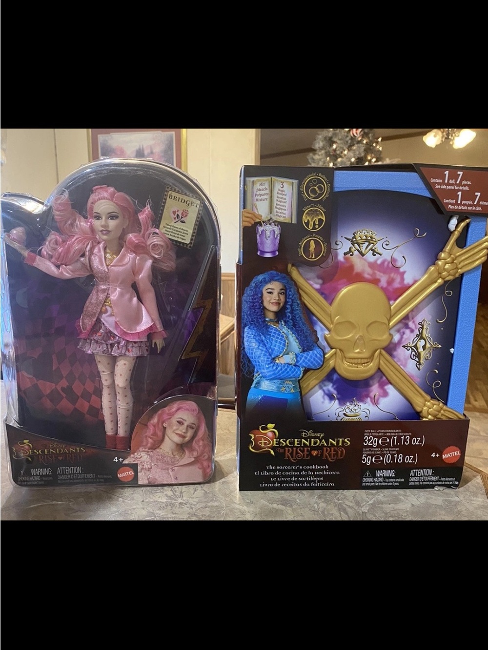 Disney Descendants The Rise of Red Sorcerer’s Cookbook Chloe And Bridget